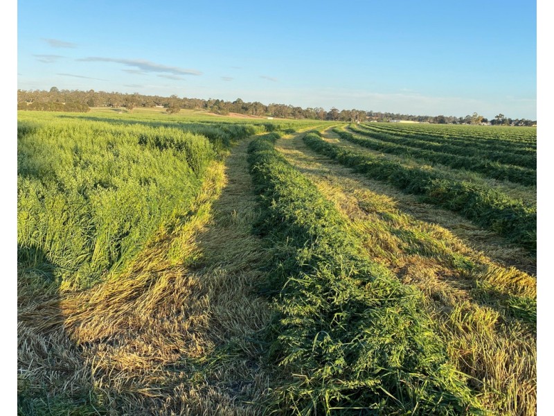 88 Carthy’s Road, Naracoorte SA 5271