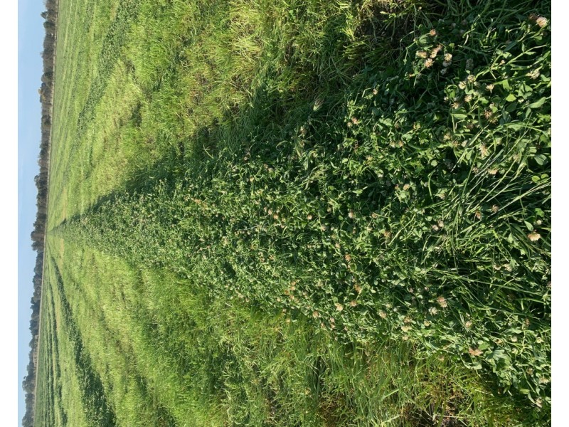 88 Carthy’s Road, Naracoorte SA 5271