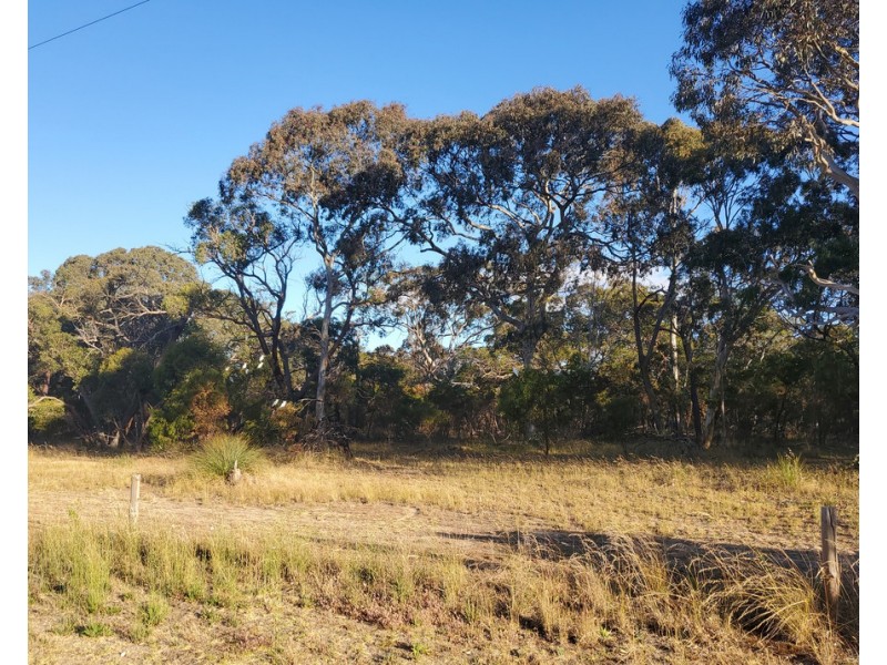 Allotment 101 Vogelsang Road, Padthaway SA 5271