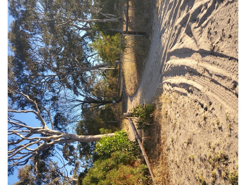 Allotment 101 Vogelsang Road, Padthaway SA 5271