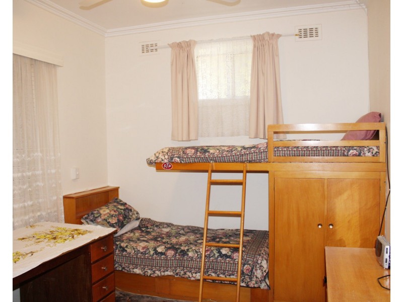 16 Cedar Avenue, Naracoorte SA 5271