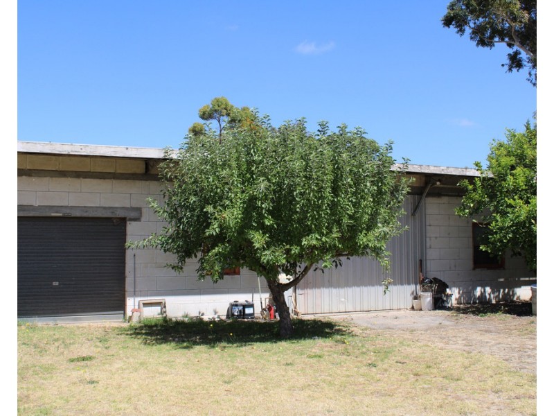 16 Cedar Avenue, Naracoorte SA 5271