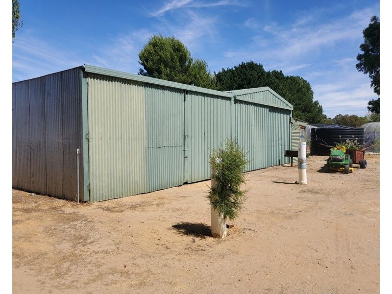 117 MacMillan Road, Naracoorte SA 5271