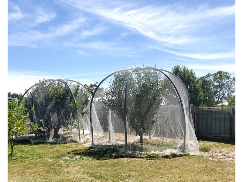 117 MacMillan Road, Naracoorte SA 5271