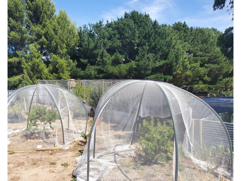 117 MacMillan Road, Naracoorte SA 5271