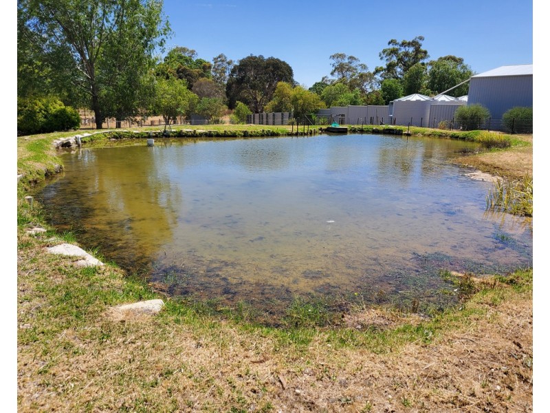 117 MacMillan Road, Naracoorte SA 5271