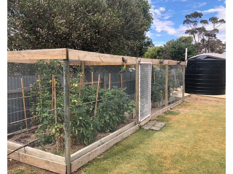 29 Summers Road, Padthaway SA 5271