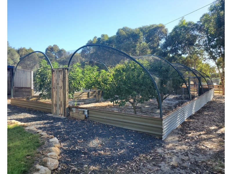 80 Rotary Avenue, Naracoorte SA 5271
