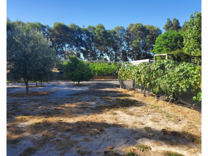 80 Rotary Avenue, Naracoorte SA 5271