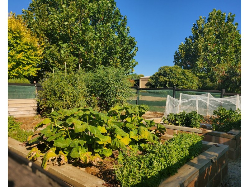 80 Rotary Avenue, Naracoorte SA 5271