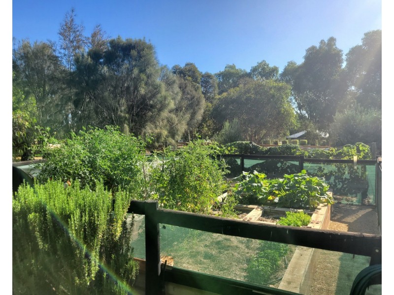80 Rotary Avenue, Naracoorte SA 5271