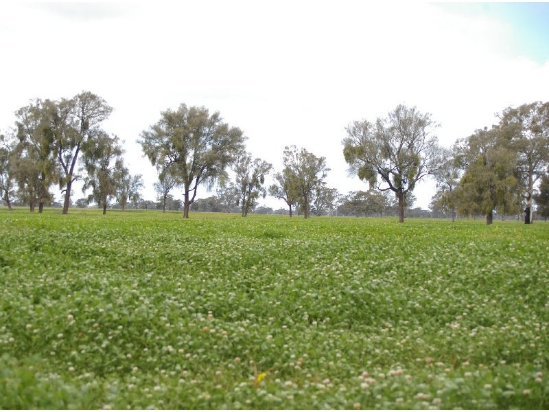 Ozenkadnook Mortat Road, Goroke VIC 3412