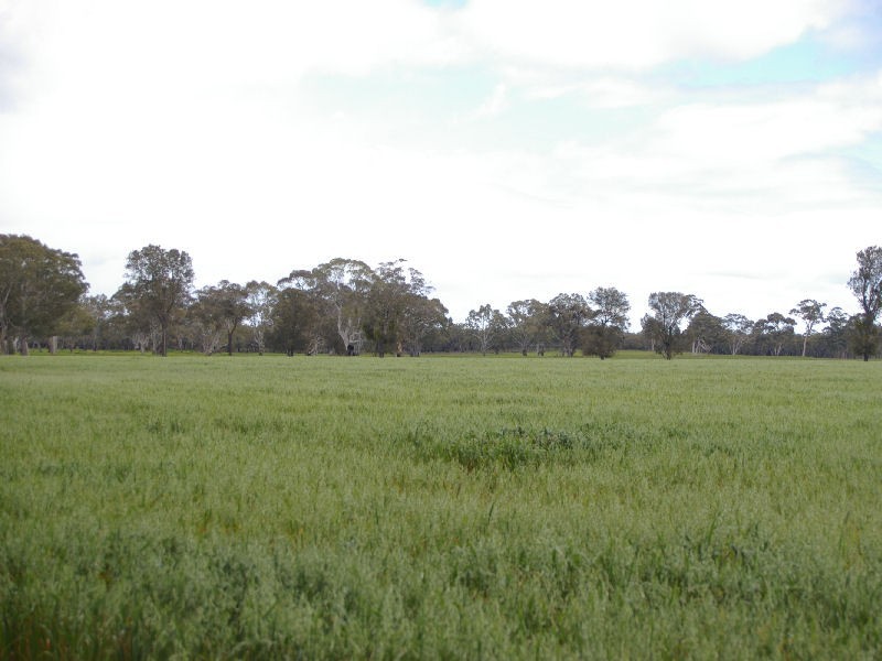 Ozenkadnook Mortat Road, Goroke VIC 3412