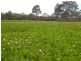 Ozenkadnook Mortat Road, Goroke VIC 3412