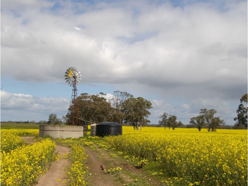Ozenkadnook Mortat Road, Goroke VIC 3412