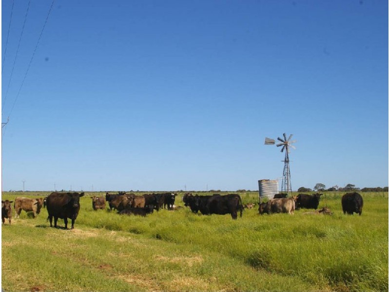 Avenue Range, Lucindale SA 5272