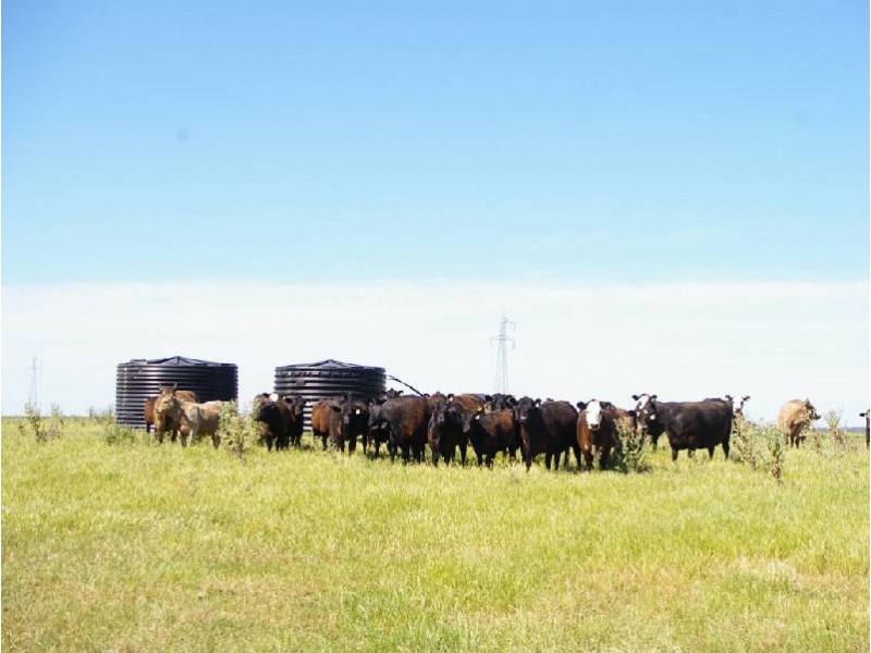 Avenue Range, Lucindale SA 5272