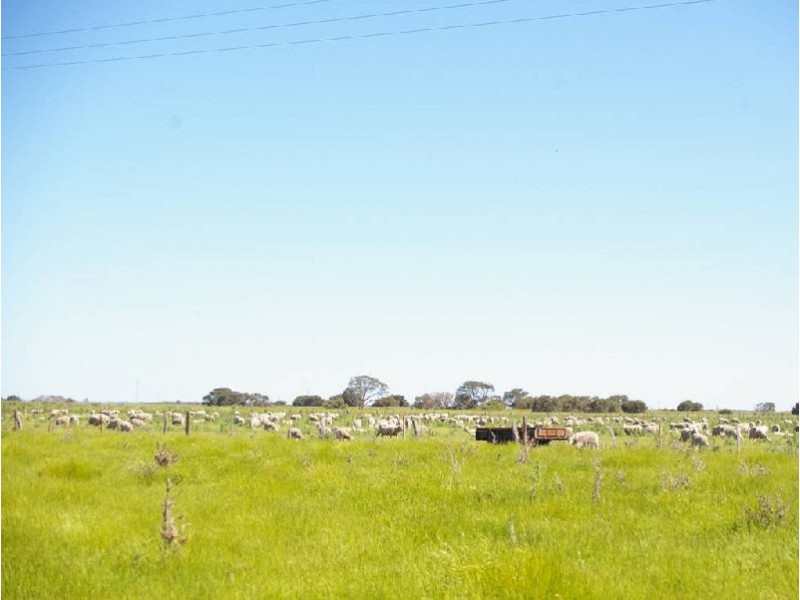 Avenue Range, Lucindale SA 5272