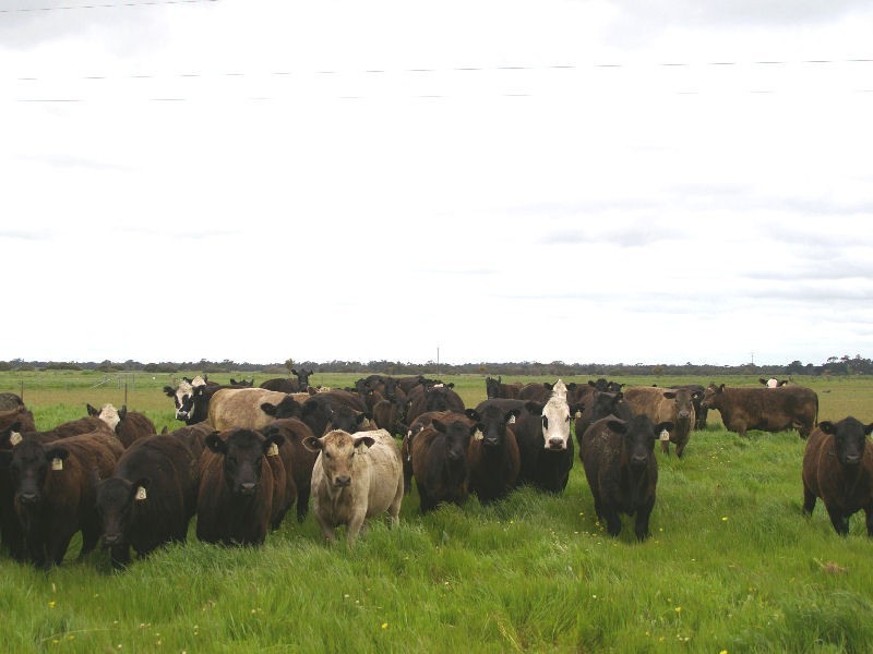 Avenue Range, Lucindale SA 5272