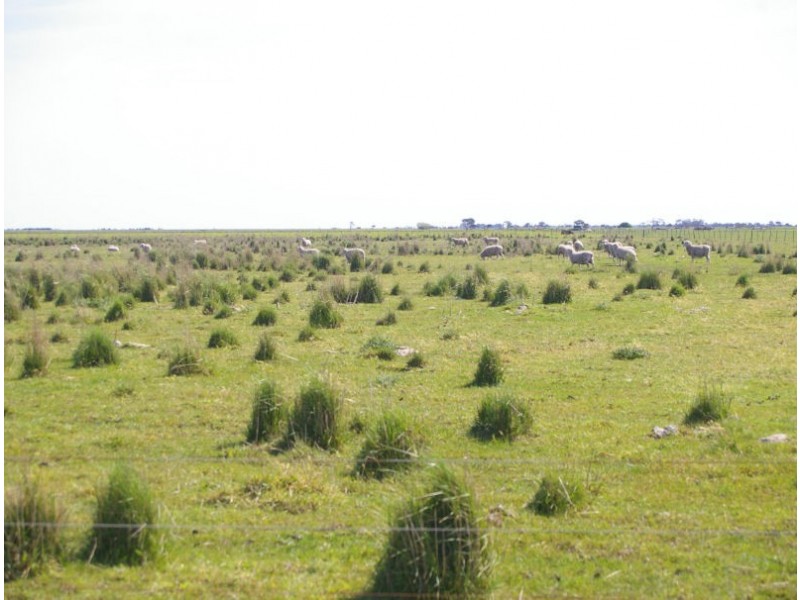 Bowaka Road, Kingston Se SA 5275