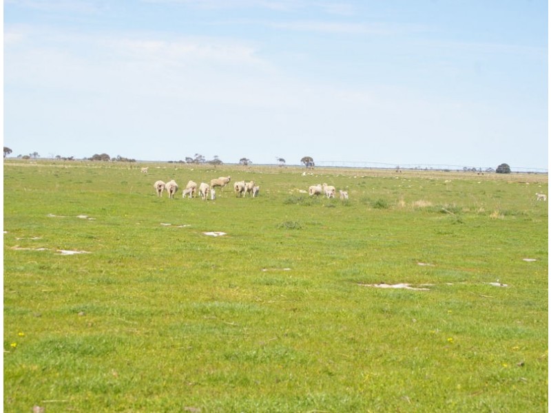 Bowaka Road, Kingston Se SA 5275