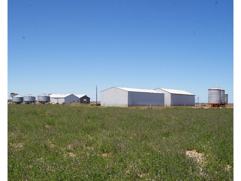 Section 12 Hd Joyce, Lucindale SA 5272