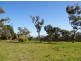 Lot 2 Mt McIntosh Road, Naracoorte SA 5271