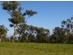 Lot 2 Mt McIntosh Road, Naracoorte SA 5271