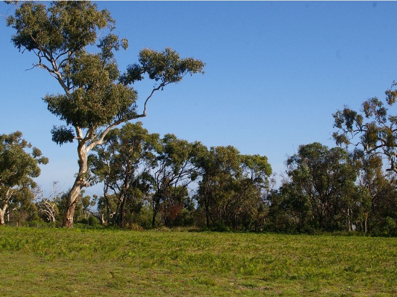 Lot 2 Mt McIntosh Road, Naracoorte SA 5271