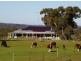 Allotment 31 Hamptons Road, Naracoorte SA 5271