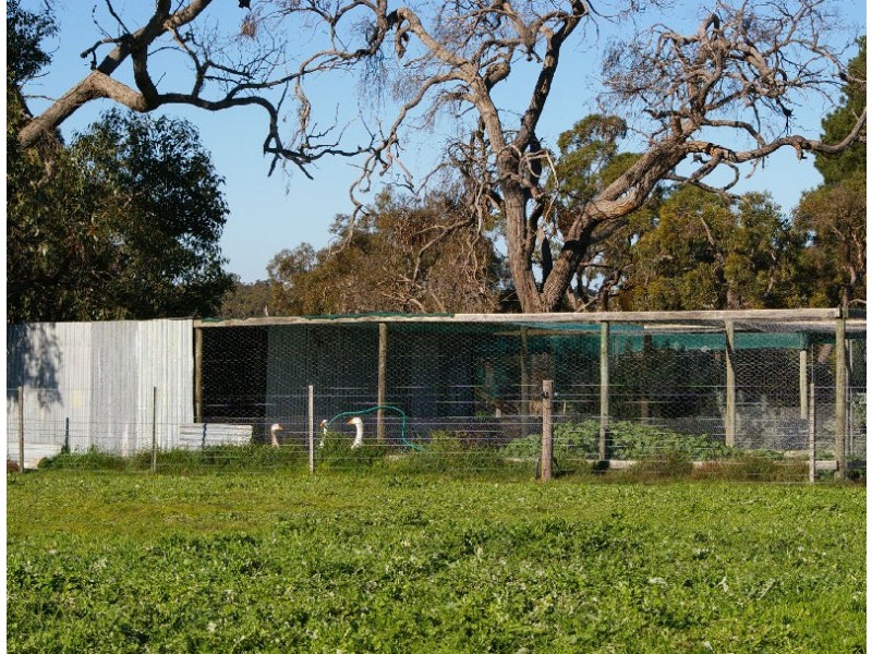 Allotment 31 Hamptons Road, Naracoorte SA 5271