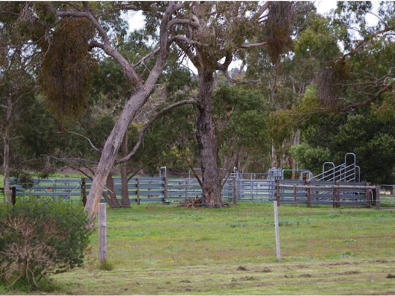 Allotment 31 Hamptons Road, Naracoorte SA 5271