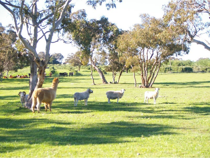 Allotment 31 Hamptons Road, Naracoorte SA 5271