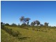 Allotment 31 Hamptons Road, Naracoorte SA 5271