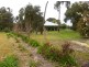 Lot 1 Wild Dog Valley Road, Naracoorte SA 5271