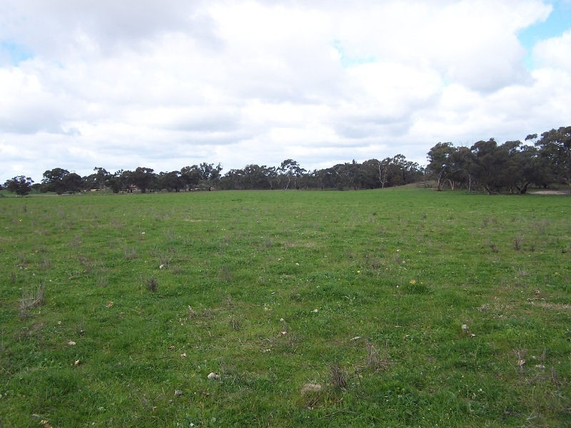 Senior Road, Bordertown SA 5268