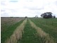 Senior Road, Bordertown SA 5268