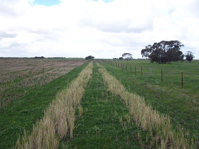 Senior Road, Bordertown SA 5268