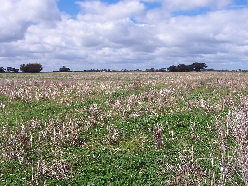 Senior Road, Bordertown SA 5268