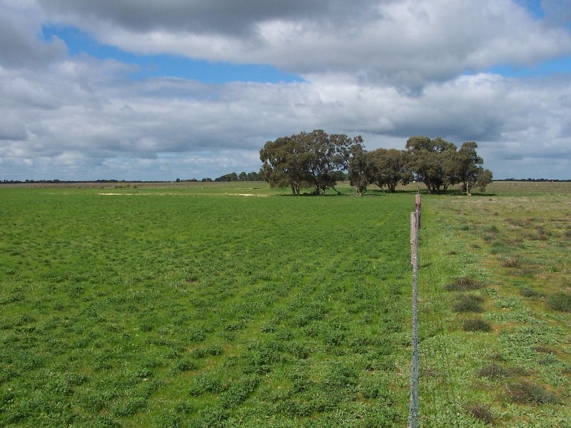 Senior Road, Bordertown SA 5268