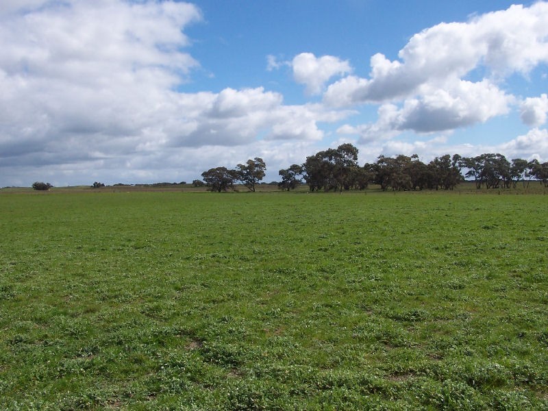 Senior Road, Bordertown SA 5268