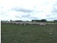 Senior Road, Bordertown SA 5268