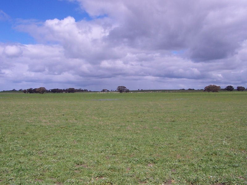 Senior Road, Bordertown SA 5268