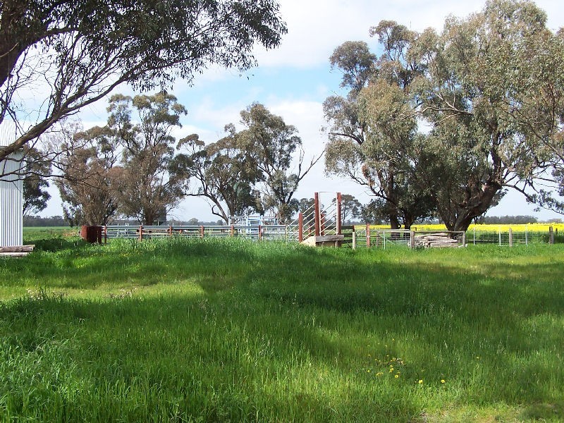 Bordertown Frances Road, Bordertown SA 5268