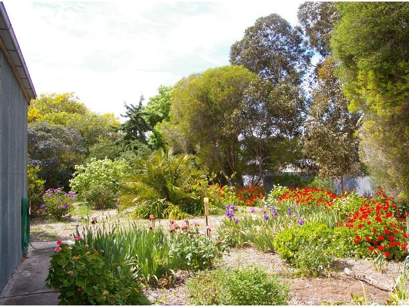 8 Charles Street, Naracoorte SA 5271