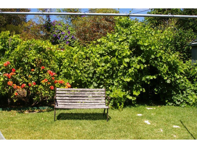 6 Wardle Crescent, Naracoorte SA 5271