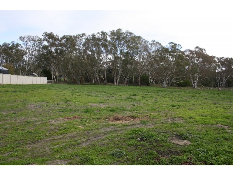 Lot 16 Federation Drive, Naracoorte SA 5271