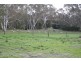 Lot 16 Federation Drive, Naracoorte SA 5271