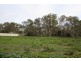Lot 16 Federation Drive, Naracoorte SA 5271