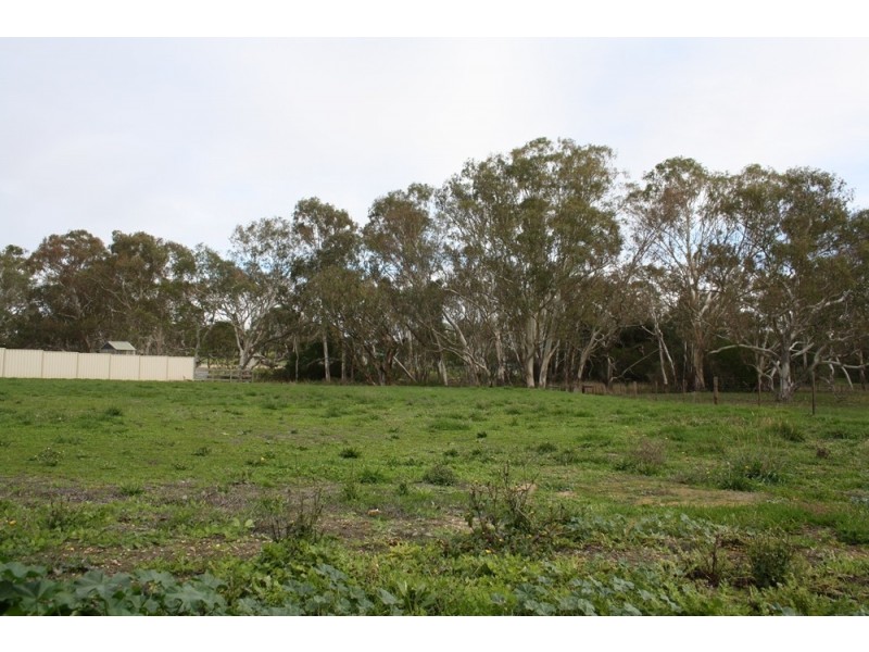 Lot 16 Federation Drive, Naracoorte SA 5271